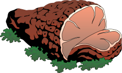 Roast of beef.